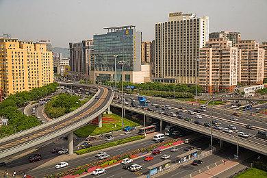 怪物收集RPG《Dome-King Cabbage》上架steam 玩法奇特